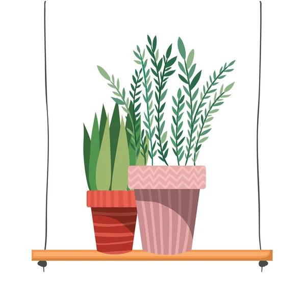 Plantes d'intérieur avec pot sur étagère icône isolée — Image vectorielle