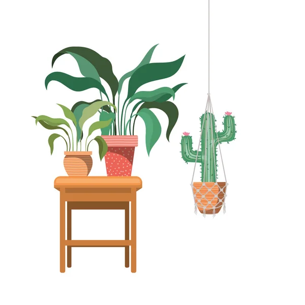 Kamerplanten op macrame hangers en tafel — Stockvector