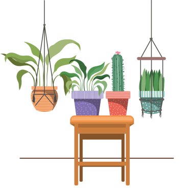 macrame askıları ve masa üzerinde houseplants
