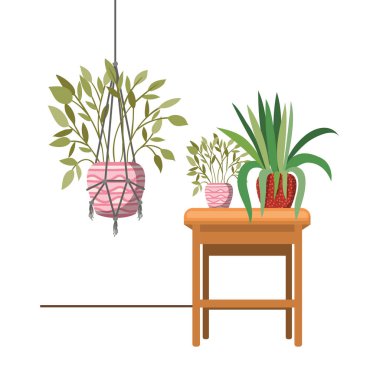 macrame askıları ve masa üzerinde houseplants