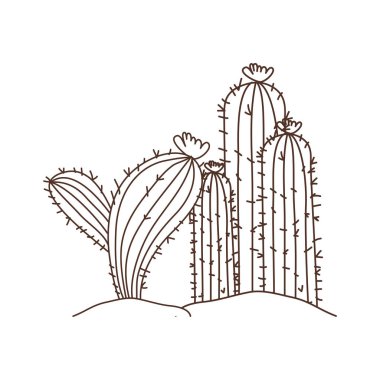 manzara izole simgesinde kaktüs