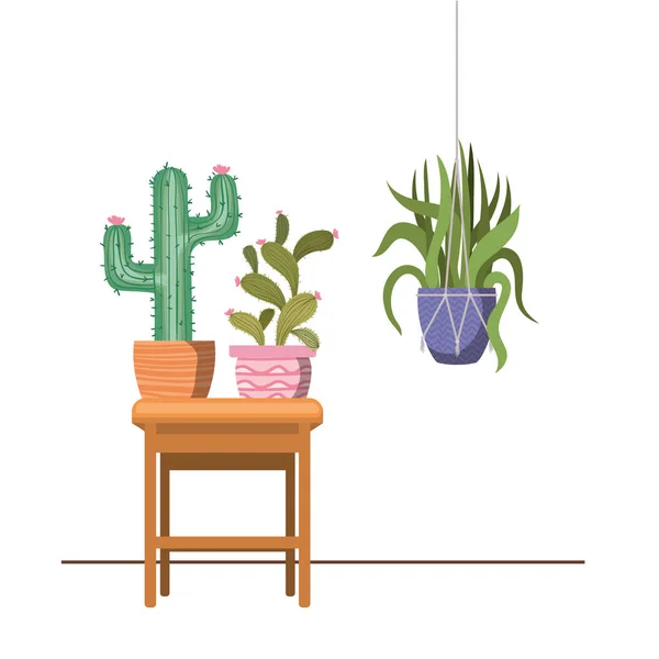 Plantes d'intérieur sur cintres macramé et table — Image vectorielle
