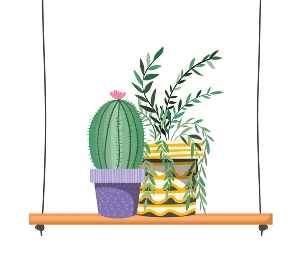 Houseplants with potted on shelf isolated icon — Stock Vector