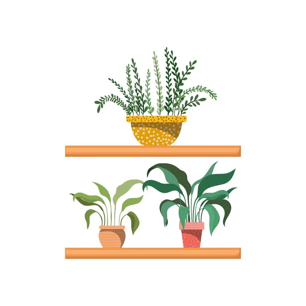 Plantas de sala com vaso na prateleira ícone isolado — Vetor de Stock