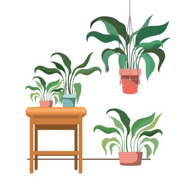 macrame askıları ve masa üzerinde houseplants