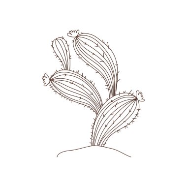 manzara izole simgesinde kaktüs