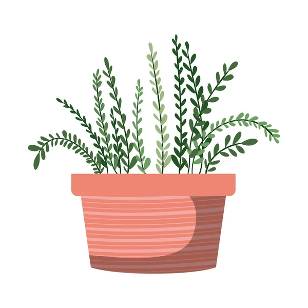 Planta de interior con maceta icono aislado — Vector de stock