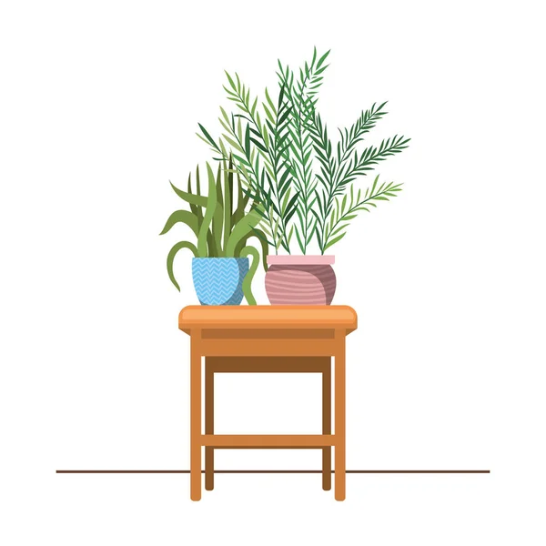 Plantas de sala com vaso na mesa —  Vetores de Stock