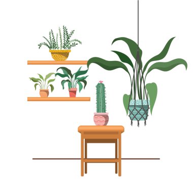 macrame askıları ve masa üzerinde houseplants