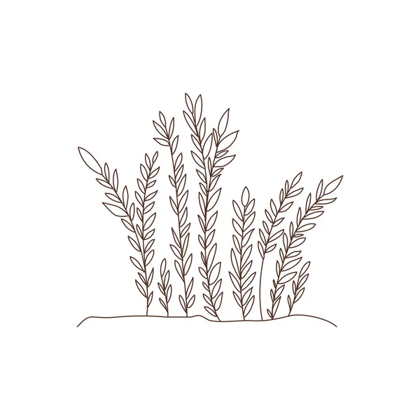 Plant in landschap geïsoleerd icoon — Stockvector