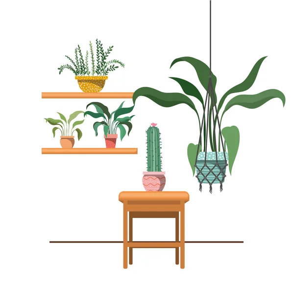 Plantas de sala em cabides macrame e mesa — Vetor de Stock