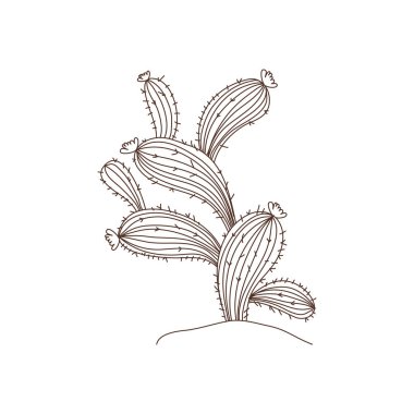 manzara izole simgesinde kaktüs