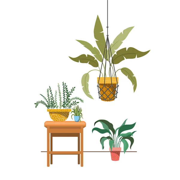 Plantas de interior en perchas de macramé y mesa — Vector de stock