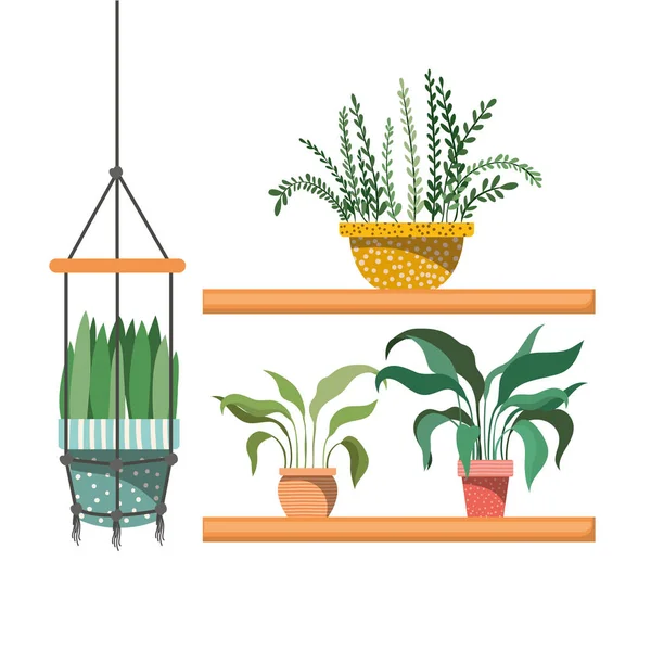 Plantas de sala com vaso na prateleira ícone isolado — Vetor de Stock