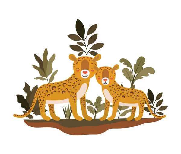 Wilde cheeta 's in de jungle — Stockvector