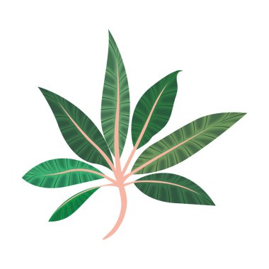 Yaprak ekoloji simgesine sahip dal