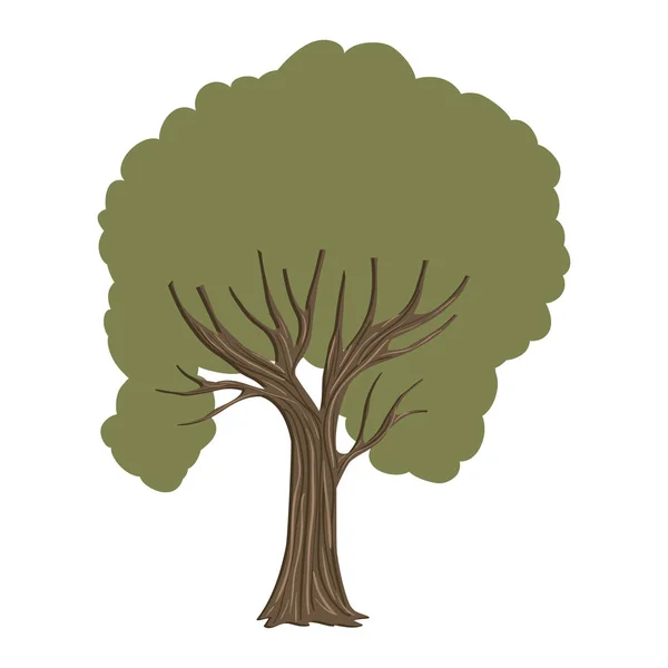 Árbol planta naturaleza icono — Vector de stock