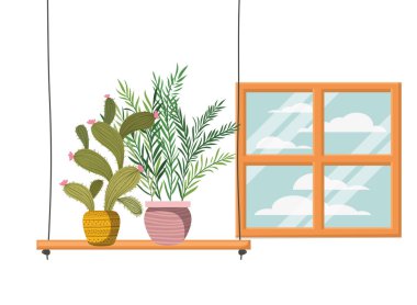 rafizole simgesi nde saksı ile kaktüs