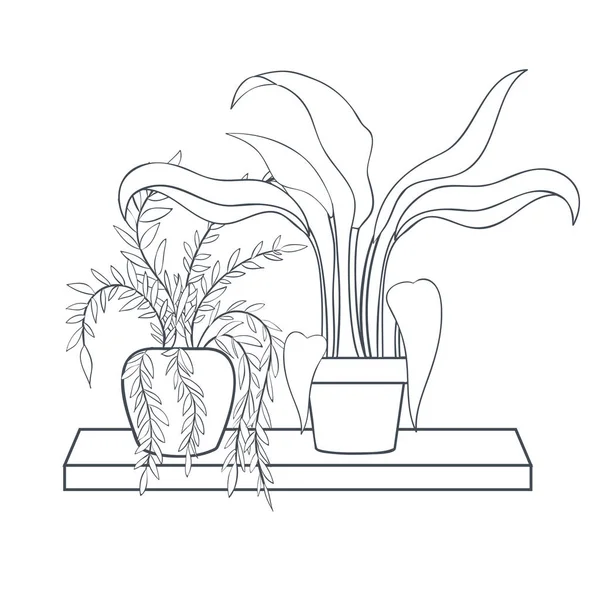 Кімнатні рослини з горщиком на полиці ізольована ікона — стоковий вектор