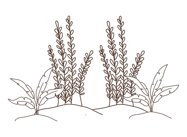 Plant in landschap geïsoleerd icoon — Stockvector