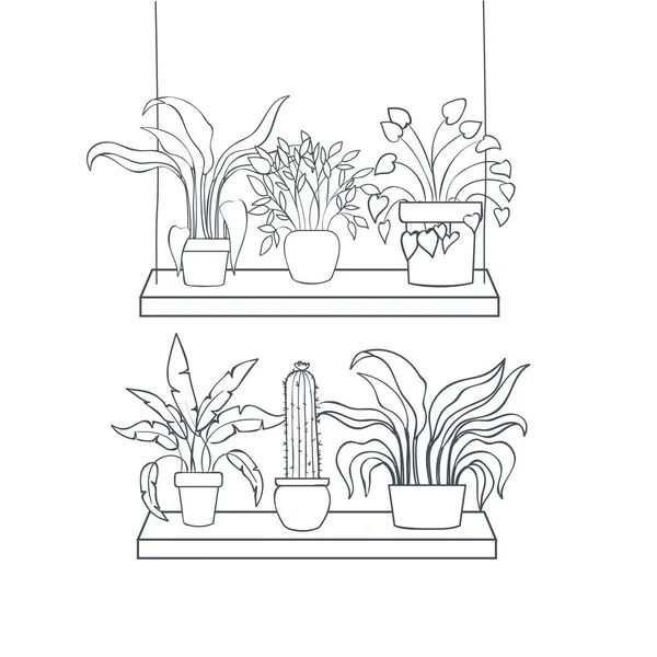 在架子上用盆栽的室内植物，隔离图标 — 图库矢量图片