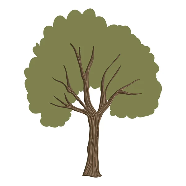 Árbol planta naturaleza icono — Vector de stock