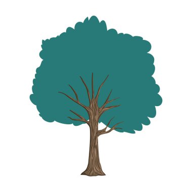 ağaç bitki doğa simgesi