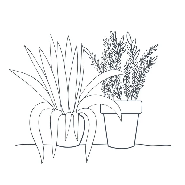 Plantas de sala com ícone isolado em vaso — Vetor de Stock