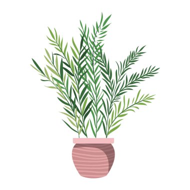 saksı izole simgesi ile houseplant