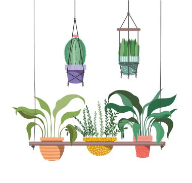 macrame askıları simgesi üzerinde houseplants