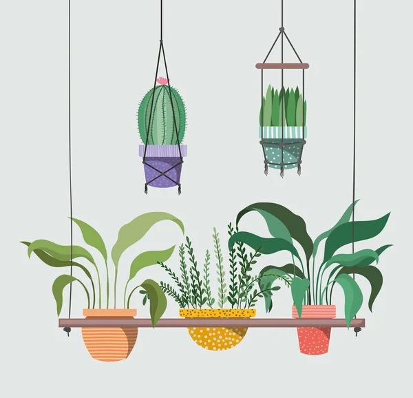 Houseplants in macrame Hangers — Stockvector