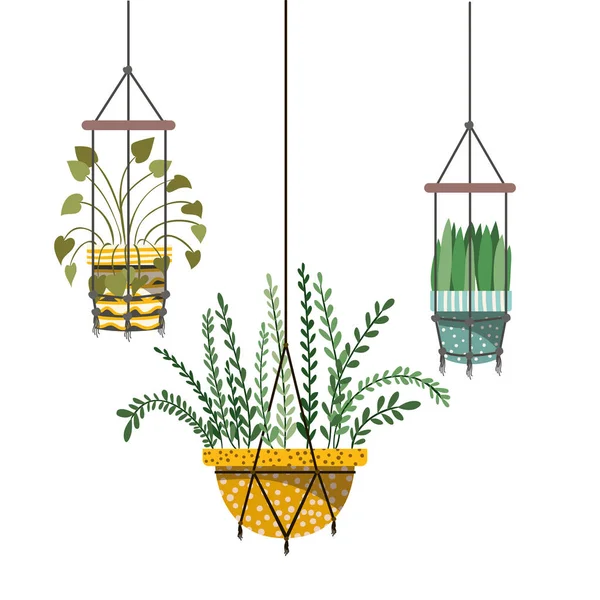 Plantas de interior en macramé perchas icono — Vector de stock