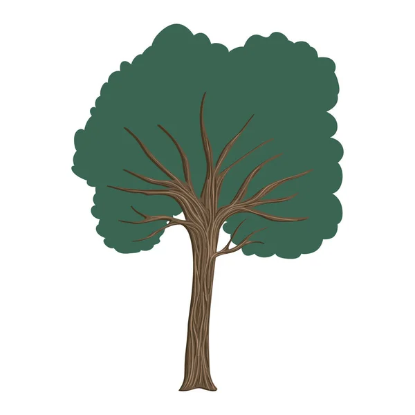 Árbol planta naturaleza icono — Archivo Imágenes Vectoriales