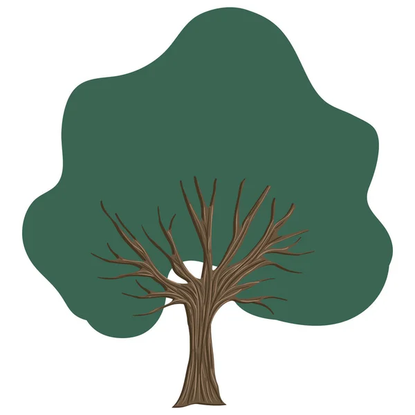 木植物自然アイコン — ストックベクタ