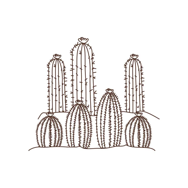 Kaktus i liggande isolerad ikon — Stock vektor