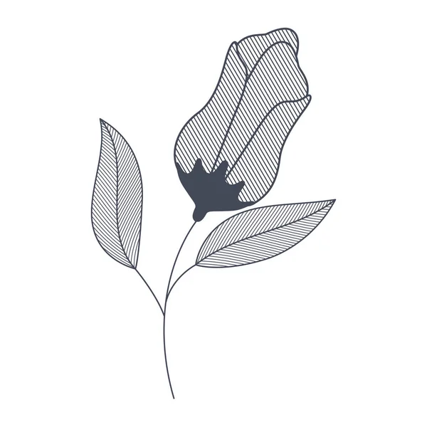 Λουλούδι με κλαδιά και φύλλα απομονωμένο εικονίδιο — Διανυσματικό Αρχείο