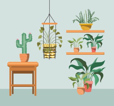 macrame askıları ve ahşap sandalye de houseplants