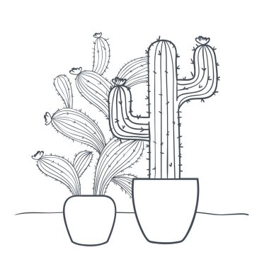 saksı izole simgesi ile kaktüs