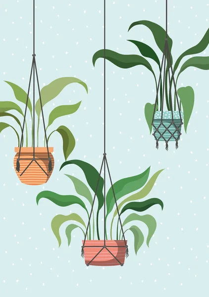 Plantas de interior en perchas de macramé — Vector de stock