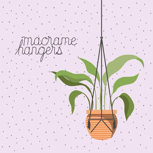 Plant in macrame Hangers — Stockvector