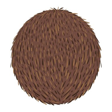 Hindistan cevizi taze meyve simgesi