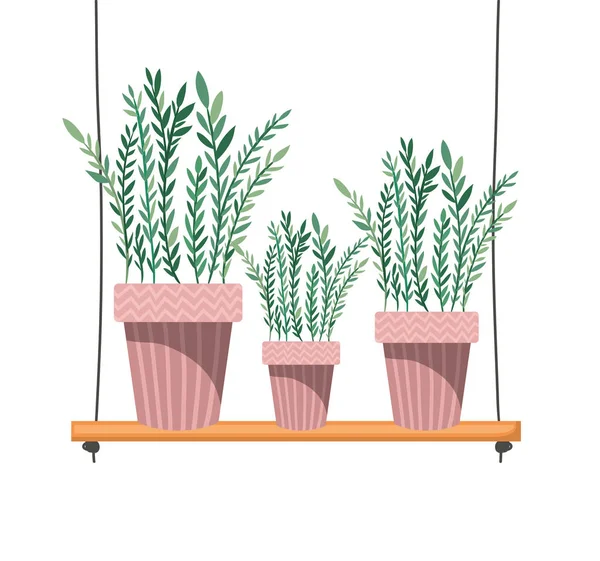 Комнатные растения с горшком на полке изолированный значок — стоковый вектор
