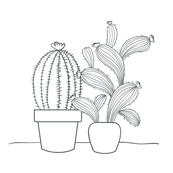 saksı izole simgesi ile kaktüs