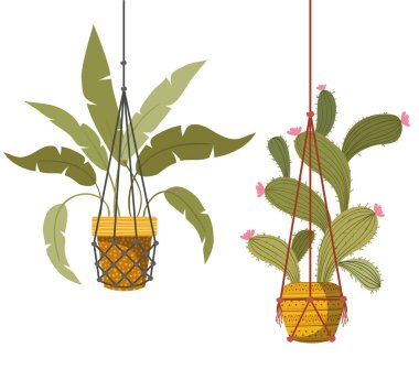 macrame askıları simgesi üzerinde houseplants