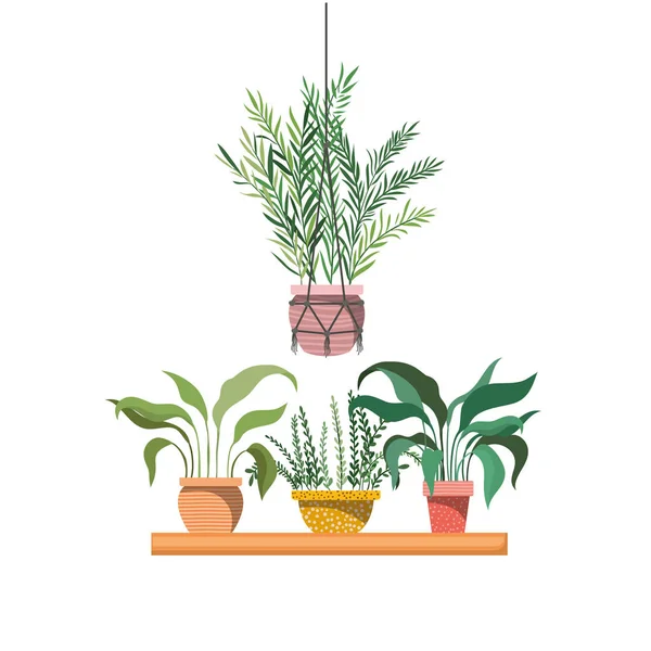 Plantas de sala com vaso na prateleira ícone isolado —  Vetores de Stock