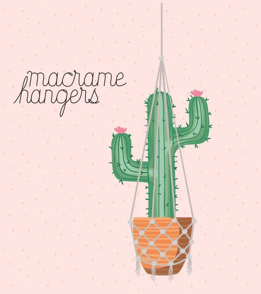 Cactus houseplant in macrame hangers — Stock Vector