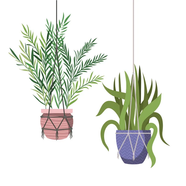 Kamerplanten op macrame Hangers pictogram — Stockvector