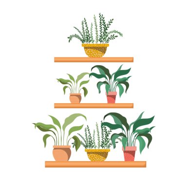 raf izole simgesi üzerinde saksı ile houseplants