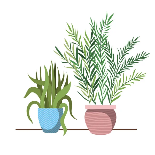 Plantes d'intérieur avec icône isolée en pot — Image vectorielle