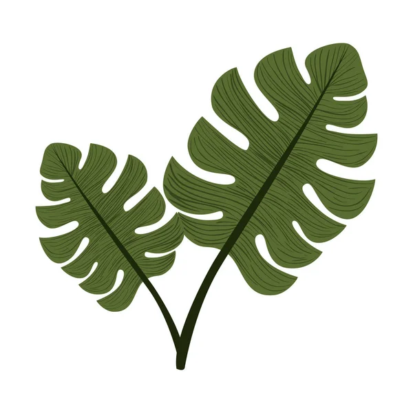 Ramo con foglie icona dell'ecologia — Vettoriale Stock